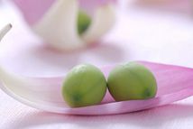 �B(y��ng)�İ���˥�� ɏ�ӹ�Ч�治��