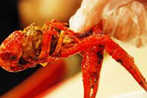 ʳ��С���r ��׃�ɘ�ɫ��