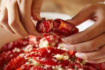 С���rզ�Ը�������ʳˎ�O(ji��n)���ָ��V��