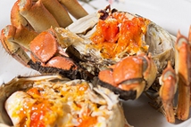 �I�B(y��ng)��������γ��з