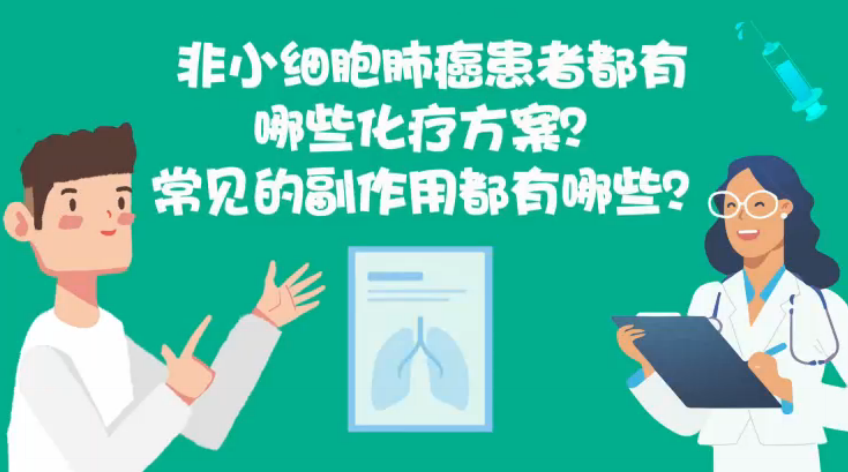 28 ��С��(x��)���ΰ����߶�����Щ����������