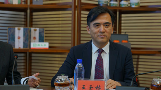 王玉林 深圳龍城醫(yī)院院長