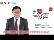 Ĳ��܊����Ԕ���Ѫ���ϲ�����