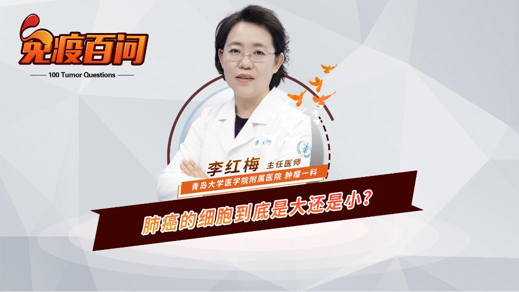 21.�ΰ��ļ�(x��)�������Ǵ�߀��С��