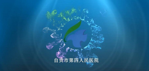 ��ؕ�е��������t(y��)Ժ