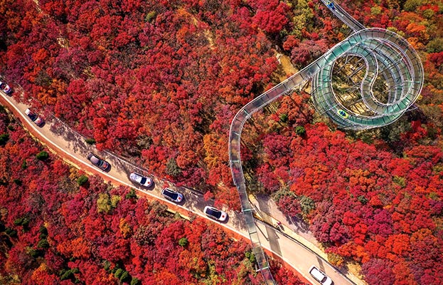      ��(sh��)���x�� �Q����܇ �Ͳ��д��씵(sh��)���r(n��ng)�I(y��)�r(n��ng)�����ĳ��� 