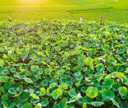 �V���������΅^(q��)��ɫ�����ֿh��ƽ�l(xi��ng)������ĺ����һ���ɻ������`�ţ���������ǰ����������W(w��ng)ӛ������ �z