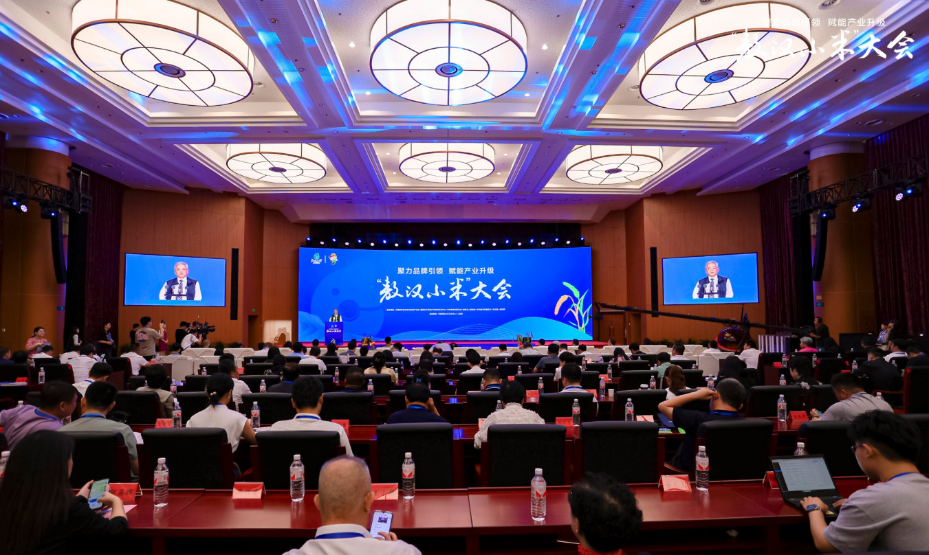 �����hС�ס����(hu��)�F(xi��n)����