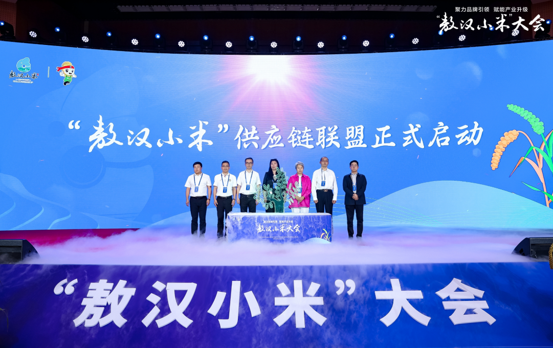 �����hС�ס�����(y��ng)�(li��n)����ʽ����(d��ng)��