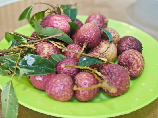 荔枝的保鮮秘訣