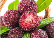 最是楊梅滋味長(zhǎng)